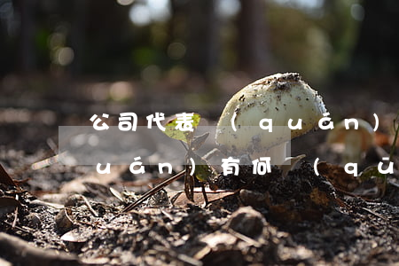 公司代表權(quán)與公司代理權(quán)有何區(qū)別？